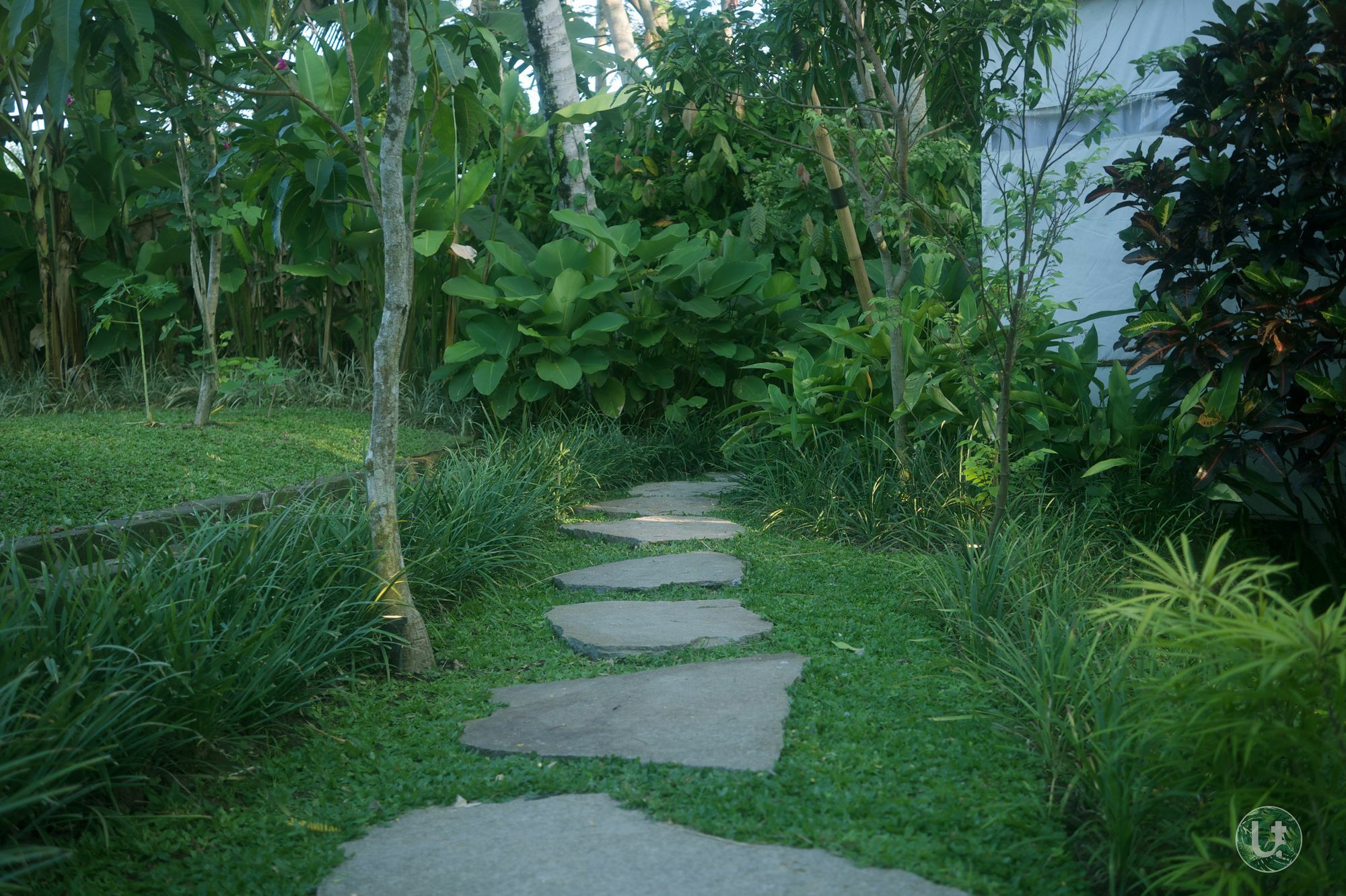 Ubud Tropical Dış mekan fotoğraf